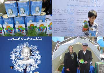 صندوق نیکوکاری بشکفت درخت در زمستان