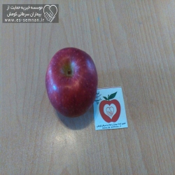 کمپین امروز سیب خوردی - مدارس